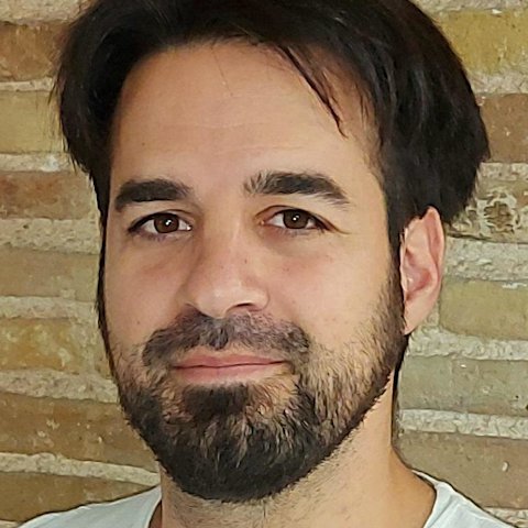 Παναγιώτης Νακόπουλος - Business Consultant